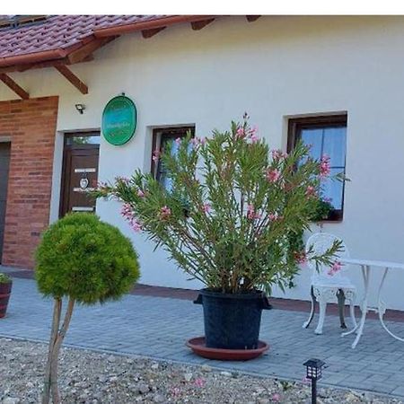 Patak Vendeghaz Hotel Zalaegerszeg Exterior foto